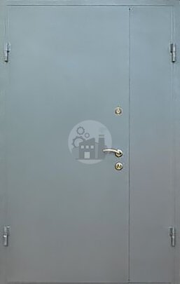 Входная металлическая дверь двустворчатая, окрас нитроэмаль-ДВ-196